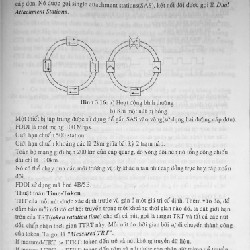 Cuốn photo Bài giảng Mạng máy tính và hệ thông tin 12290