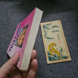 Tuyết lạnh 734008