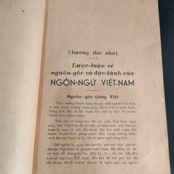 NHỮNG NHẬN XÉT VỀ VĂN PHẠM VIỆT NAM  279046