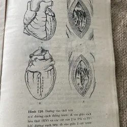 Bênh học tim mạch - hơn 400 trang -R.RULLIÈRE Giáo sư trường Đại học Paris VI 795820