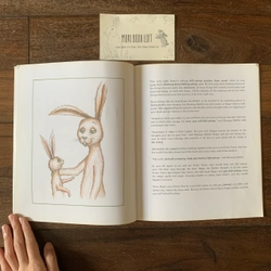 Sách ngoại văn The Rabbit Who Wants to Fall Asleep, Used 418250
