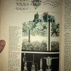 Từ điển bách khoa nhà hoá học trẻ tuổi  731806