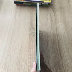 CÂY XƯƠNG RỒNG  1007319