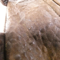 Túi Chanel - Hàng hiệu Authentic 766290