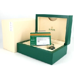 Đồng hồ Rolex Datejust 179384G･3 SSxWG tự động - Sản phẩm chính hãng 877614