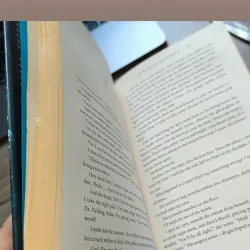 The Woman in the window - A.J. Finn  791512