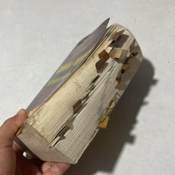 Từ điển Anh - Việt 544314