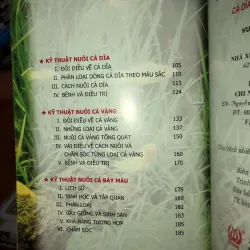 Kỹ thuật nuôi cá chép Koi - cá xiêm - cá rồng - cá dĩa - cá vàng - cá bảy màu 745842