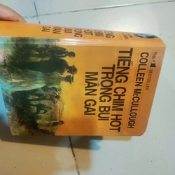 Tiếng chim hót trong bụi mận gai