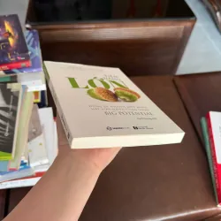 TIỀM NĂNG LỚN – Shawn Achor (Big Potential) - K3 1006577