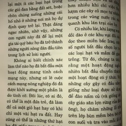 IRAQ Chặn đường lịch sử  749621