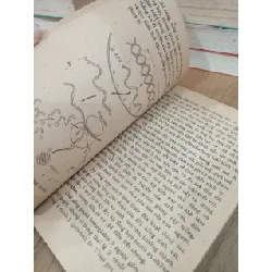 Kỳ lạ trong sự sống - Phan Cự Nhân 717216