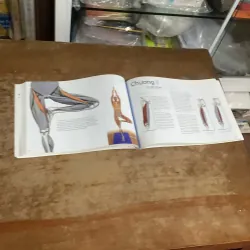 CÁC CƠ CHÍNH TRONG YOGA - RAY LONG  935200