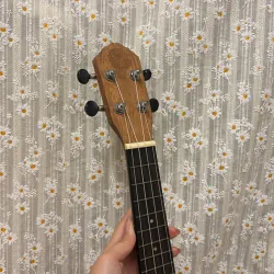 Đàn ukulele gỗ size concert 748190