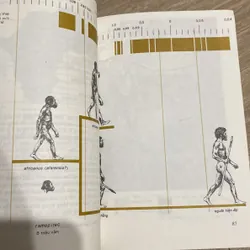 NGUỒN GỐC LOÀI NGƯỜI, in tại Liên Xô 1986 713649