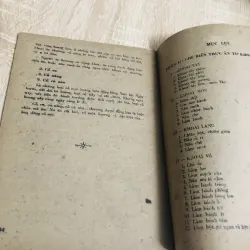 MÓN ĂN VIỆT NAM TỪ RAU CỦ QUẢ  956926