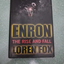 Enron the rise and fall loren fox