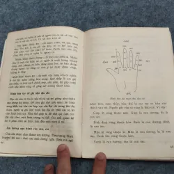 NHẬP MÔN DỰ ĐOÁN THEO TỨ TRỤ 936834