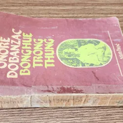 Tiểu thuyết của đại văn hào H. De Balzac: BÔNG HUỆ TRONG THUNG (441 trang) 948606