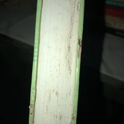 Cần Thơ - Thế và lực mới trong thế kỷ XXI 704949