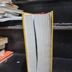 Từ điển Hán Việt hiện đại 1009693