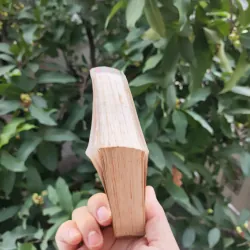 Từ Điển Tranh Về Các Con Vật - Lê Quang Long 753786