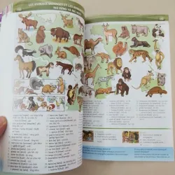 Nâng cao vốn từ vựng tiếng Pháp theo chủ đề bằng hình ảnh 692945