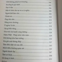 Gió Đùa Reo Nắng Mới 674721