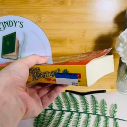 [Sách tiếng Anh 2hand] Like new 90% - 🐶 The Rover Adventures – Roddy Doyle 🦎 960921