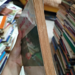 Giáo lý giáo hội Công giáo 🌱 464008