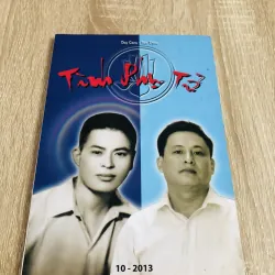 TÌNH PHỤ TỬ