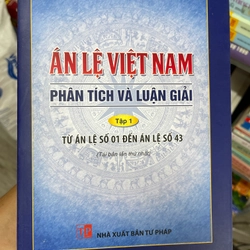 Án lệ Việt Nam - phân tích và luận giải