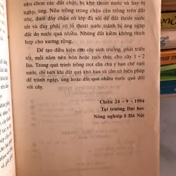 Trồng hoa cây cảnh trong gia đình - Nguyễn Huy Trí - Đoàn Văn Lư 1001807
