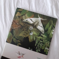 Artbook màu nước Biên niên sử mộng du 360526
