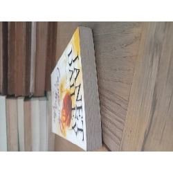 Còn mãi một tình yêu - Janet Dailey 973004