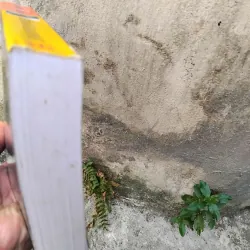 Bí mật gia đình tiểu thuyết của Irène Frain  1005704