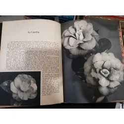 Belles fleurs de nos jardins 708458