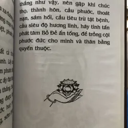 Phật thuyết đại thừa vô lượng thọ trang nghiêm thanh tịnh bình đẳng giác kinh  1009767