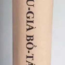 Du-Già Bồ Tát Giới - Tuệ Sỹ 690070