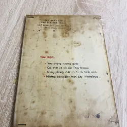 VUA BÓNG ĐÁ PÊ LÊ  928946