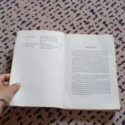 Ngữ Pháp Tiếng Việt Những Vấn Đề Lí Luận  1027027