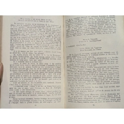 Guy de Maupassant - Bel Ami 784671