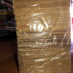 Golden Age - Samukawa Kazuyuki 783772