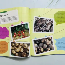 Sách tranh kiến thức 사계절로 보는 우리나라 571717