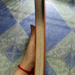 Tự đoán bệnh - Dương Bỉnh Hy & Dương Hy Đức 1006251