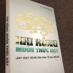 Khi rồng muốn thức dậy - TS. Phạm Đỗ Chí - Kinh tế