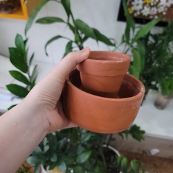2 Chậu Đất Nung trồng Sen Đá - [TẶNG] Khách Hàng Mua đồ cùa Shop, 1 Quà /đơn