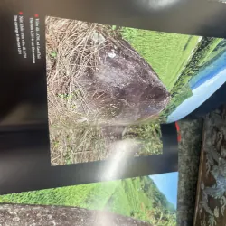 Bãi đá cổ Sa Pa dưới con mắt tạo hình 787259