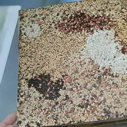 [Tặng nẹp góc] Truyện thiếu nhi Hàn Quốc: Moyamo Anu 56 -  모야모 아누와: 카멜레온에게 혼쭐난 아난시 732060