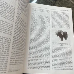 Từ điển Biểu tượng văn hoá thế giới 697935